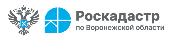 С начала 2025 года в ЕГРН внесено 18 зон подтопления и затопления.