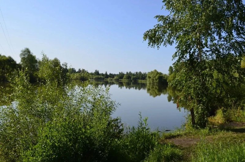 Купание в неположенных и необорудованных местах строго запрещено..