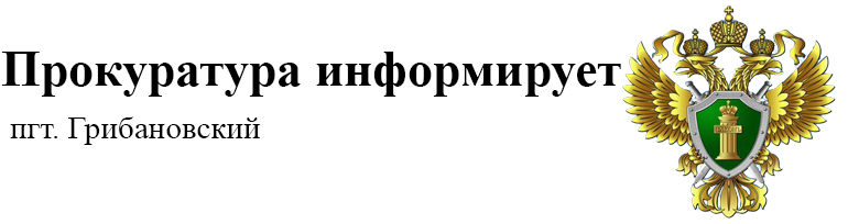 ОТВЕТСТВЕННОСТЬ ЗА ЛОЖНОЕ СООБЩЕНИЕ ОБ АКТЕ ТЕРРОРИЗМА.