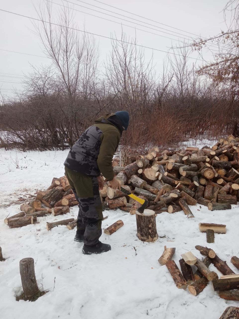 В селе Листопадовка матери военнослужащего помогли заготовить дрова..