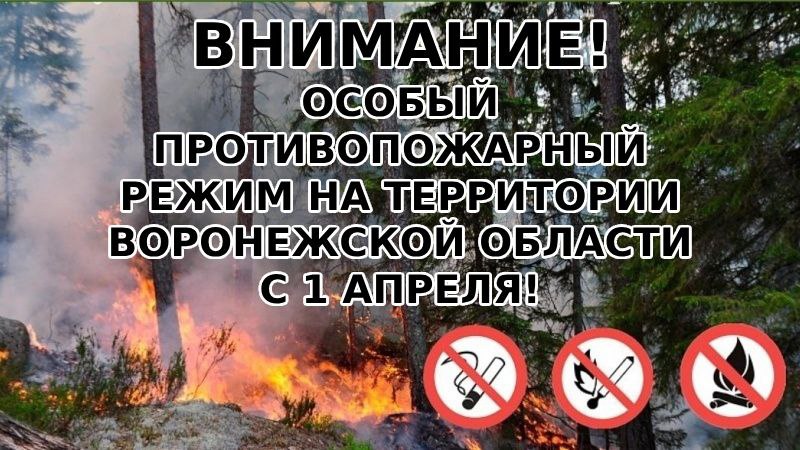 1 апреля на территории Воронежской области установлен «Особый противопожарный режим»..